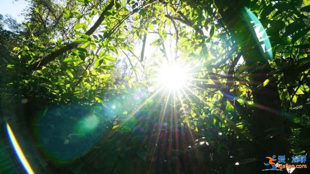 廈門6月份天氣預(yù)報，2019廈門六月份穿什么？