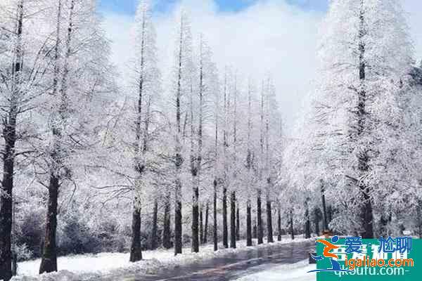 大圍山國家森林公園將于2021年12月31日恢復(fù)開放？