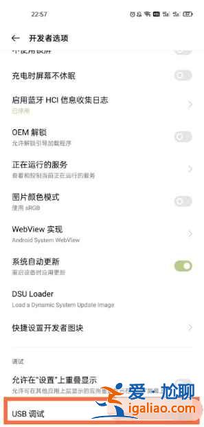 一加9r怎么打開(kāi)usb調(diào)試功能？