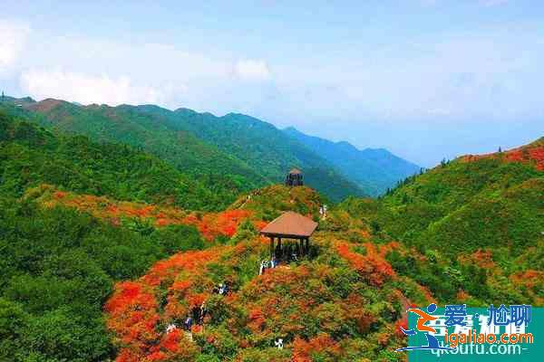 大圍山國家森林公園將于2021年12月31日恢復(fù)開放？