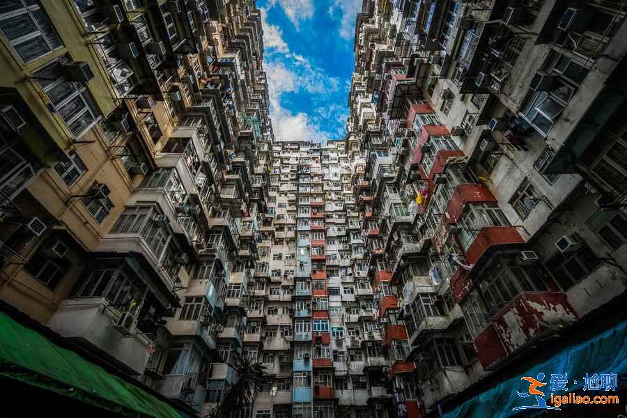 【香港過境免簽政策】香港過境免簽時間、所需資料、流程？