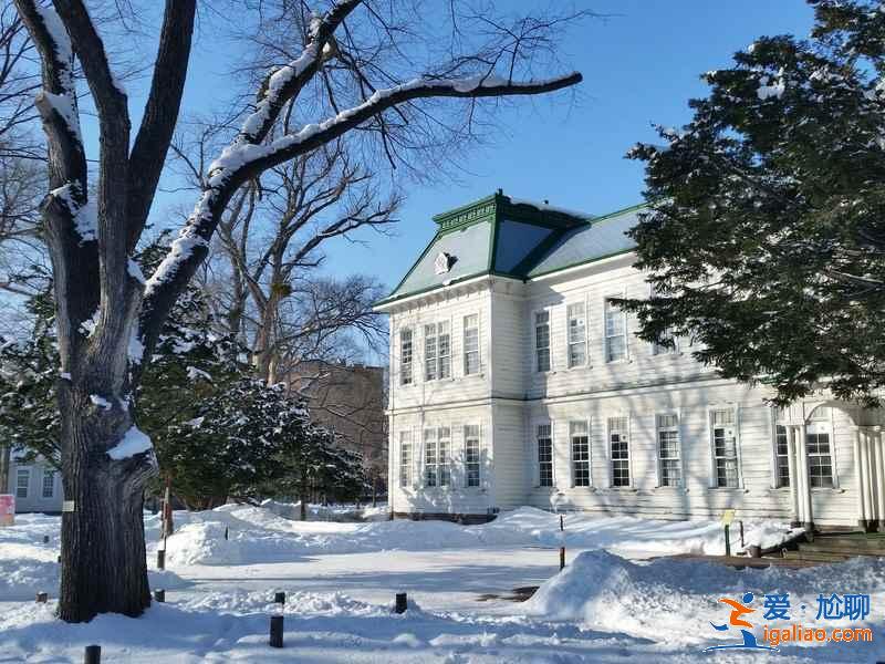 北海道大學(xué)可以觀光嗎？北海道大學(xué)值得去嗎？北海道大學(xué)觀光指南？