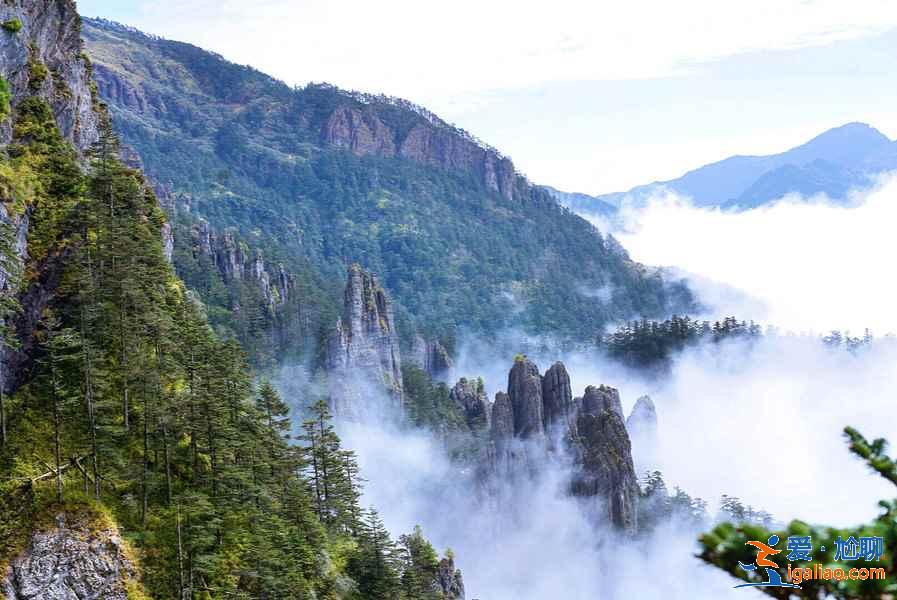 神農(nóng)架有什么好玩的地方，神農(nóng)架有哪些熱門景點(diǎn)，神農(nóng)架熱門景點(diǎn)推薦？