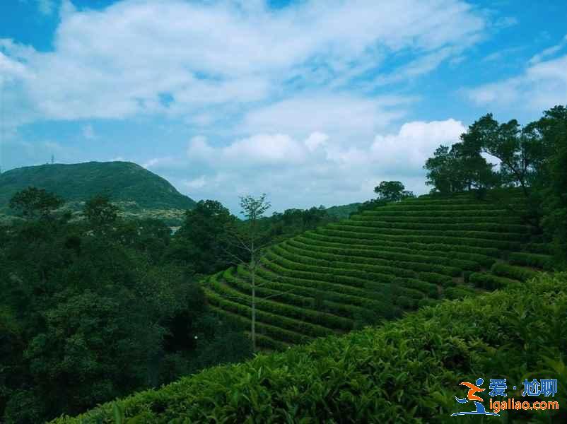 深圳華僑城好玩嗎，深圳東部華僑城二日游？