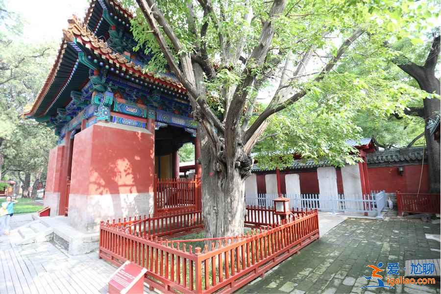 北京文藝購物地有哪些，北京文藝購物地推薦，北京文藝的購物好去處？