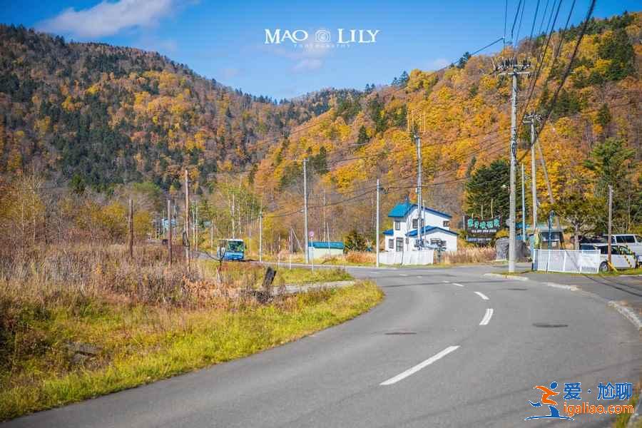 北海道哪些地方適合旅拍？北海道旅拍好去處大盤點(diǎn)？