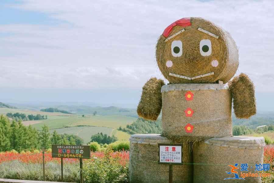 北海道哪些地方適合旅拍？北海道旅拍好去處大盤點(diǎn)？