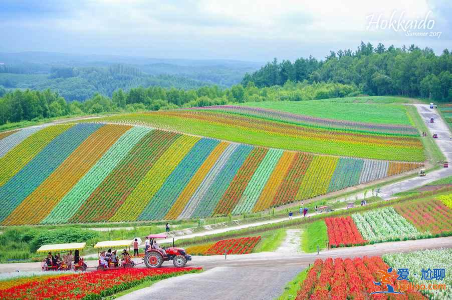 北海道哪些地方適合旅拍？北海道旅拍好去處大盤點(diǎn)？