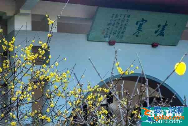 2022無錫梅園梅花開了嗎 具體開放時間？