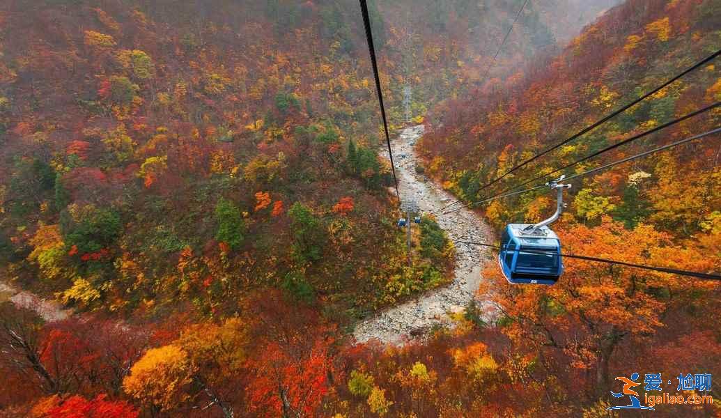 北海道哪些地方適合旅拍？北海道旅拍好去處大盤點(diǎn)？