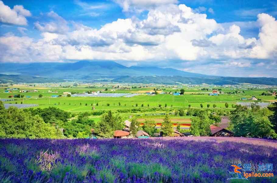 北海道哪些地方適合旅拍？北海道旅拍好去處大盤點(diǎn)？