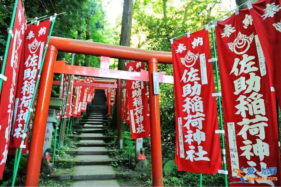【日本簽證辦理流程】日本自助游簽證好辦嗎，日本個人旅游簽證辦理指南？
