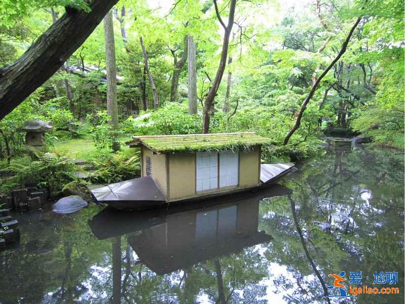 【免費(fèi)游日本】日本最省錢的旅游攻略？
