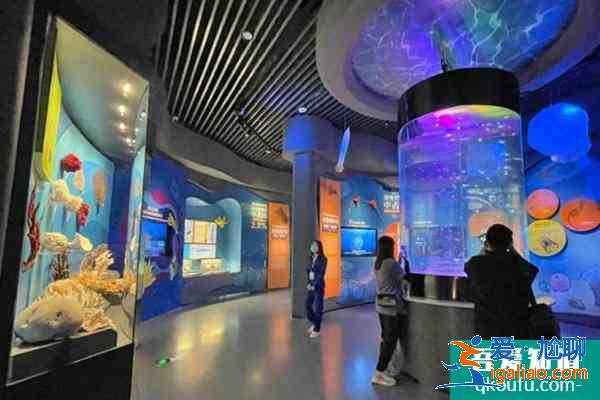 2021澄江化石地自然博物館加強疫情防控公告？