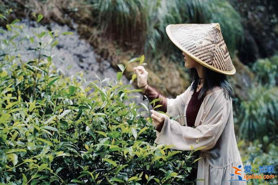 武夷山熱門景點有哪些，武夷山熱門景點好玩嗎，武夷山熱門景點推薦？