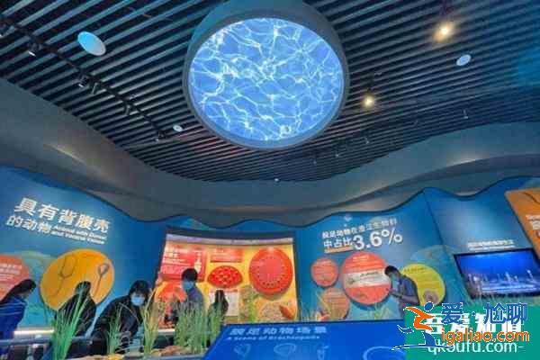 2021澄江化石地自然博物館加強疫情防控公告？