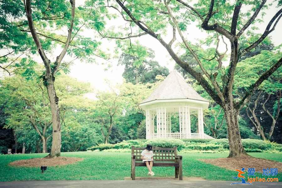新加坡旅游注意事項(xiàng)（購(gòu)物、貨幣、天氣）？