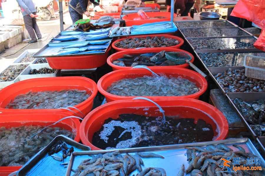 青島人氣海鮮市場TOP4，吃的盡興又劃算？