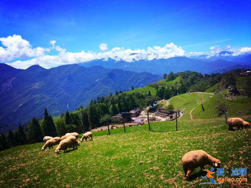 臺(tái)灣游玩一定要做的事，臺(tái)灣旅游必體驗(yàn)，臺(tái)灣游玩攻略？