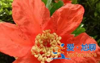 紅米Note10Pro值得入手嗎？