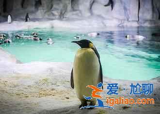 珠海有什么好玩的地方，珠海哪里好玩，珠海景點游玩攻略？