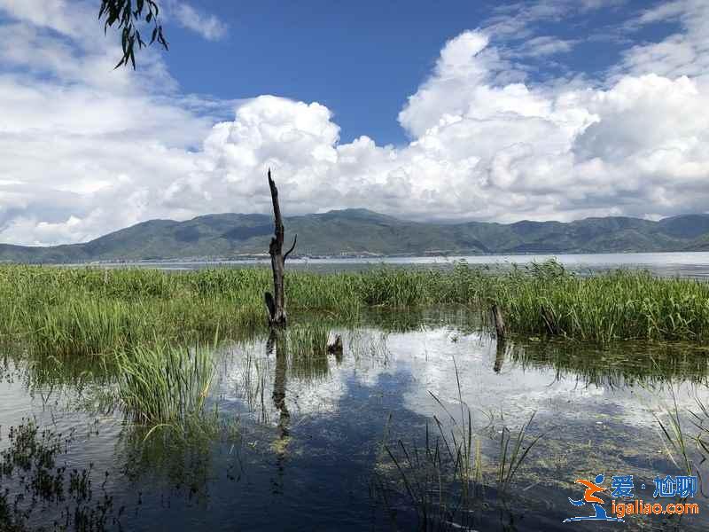 大理海舌生態(tài)公園值得去嗎，大理海舌生態(tài)公園具體位置，大理海舌生態(tài)公園需要門票嗎？