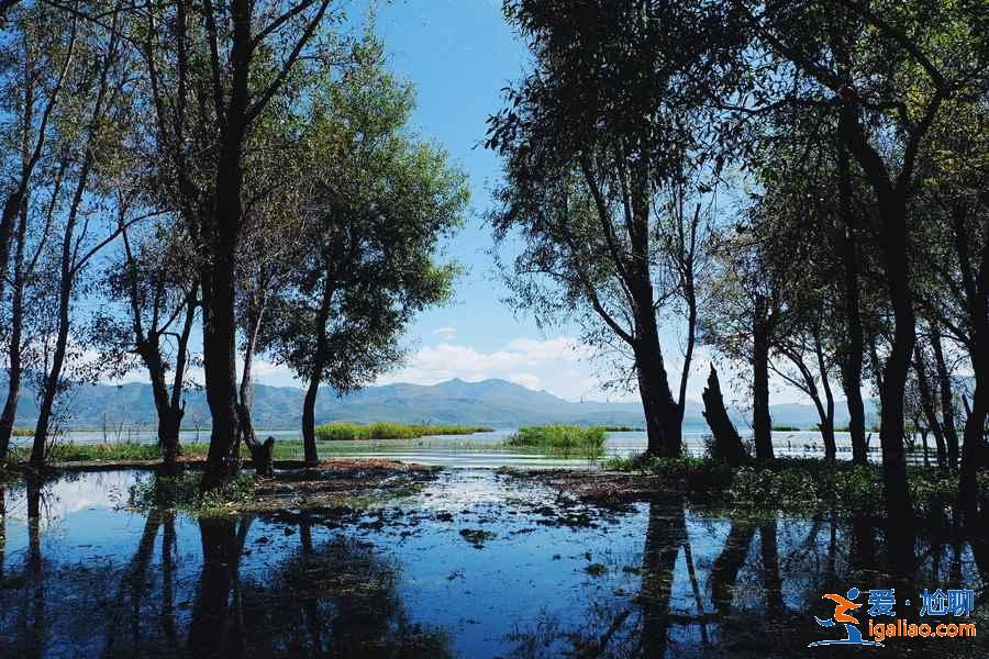 大理海舌生態(tài)公園值得去嗎，大理海舌生態(tài)公園具體位置，大理海舌生態(tài)公園需要門票嗎？