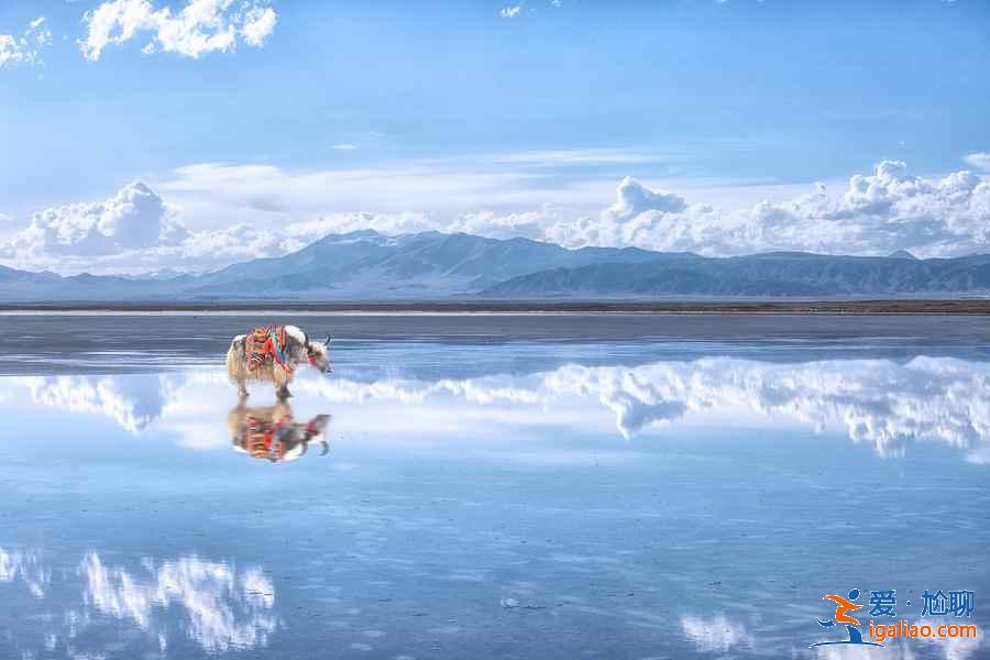 【7月去青海湖】7月青海湖旅游攻略，7月去青海湖穿什么？