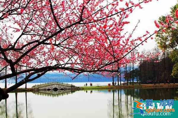 2022東湖梅園門(mén)票多少錢(qián)一張？