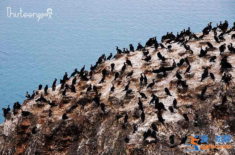 環(huán)青海湖騎行需要幾天，青海湖騎行路線推薦，青海湖騎行攻略？