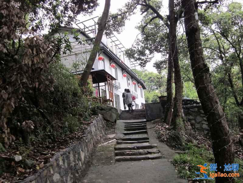 杭州特色青旅有哪些？杭州有什么特色青旅？杭州特色青旅客棧推薦？