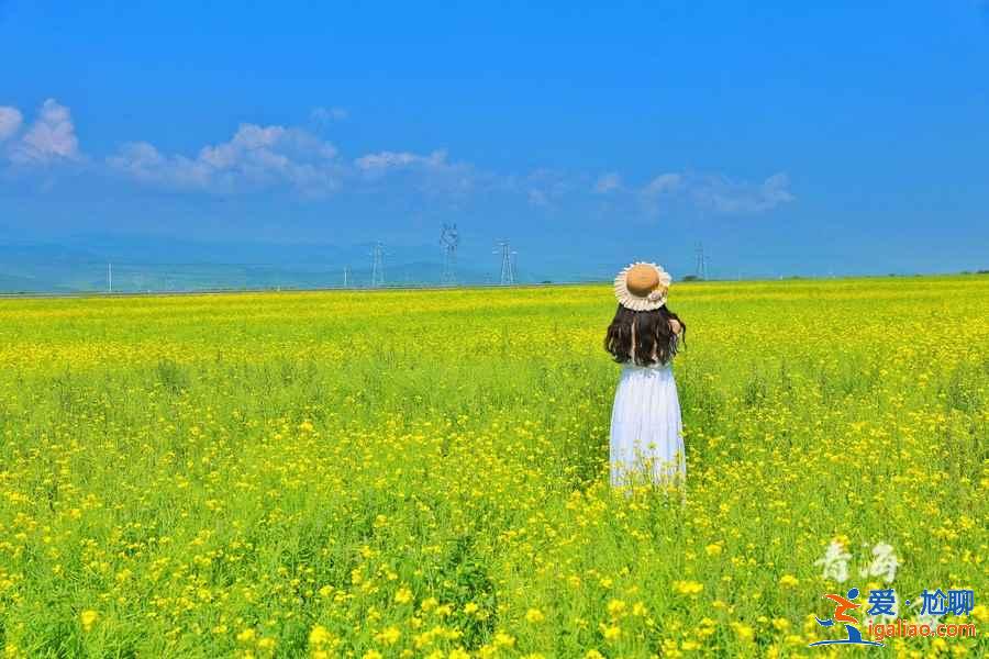 青海湖閨蜜游去哪里，青海湖閨蜜游怎么玩，青海湖閨蜜游攻略？