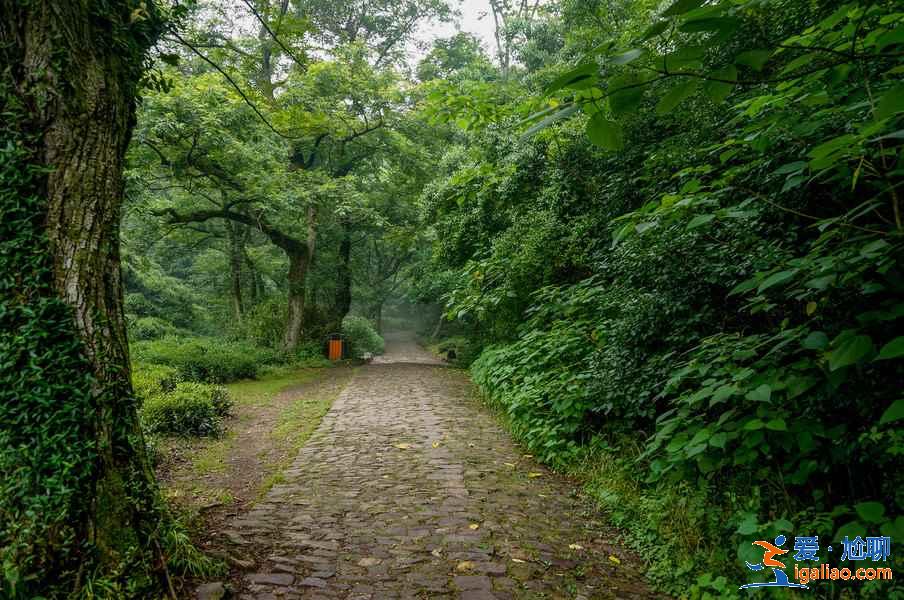杭州九溪十八澗怎么去,杭州九溪煙樹在哪里,九溪十八澗交通路線? 杭州九溪十八澗怎么去,杭州九溪煙樹在哪里,九溪十八澗交通路線?