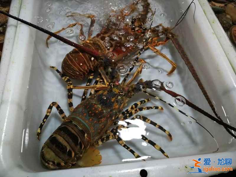 珠海海鮮店有什么推薦，在珠海怎么吃到便宜地道的海鮮？