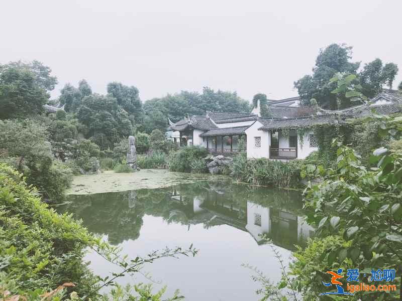 杭州西溪濕地怎么玩，杭州西溪濕地怎么玩比較好，杭州西溪濕地游玩攻略？