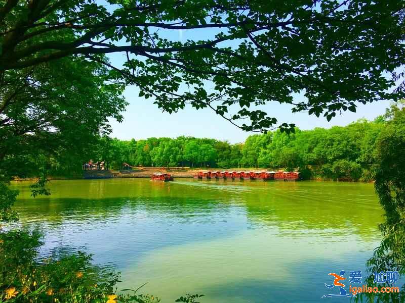 杭州西溪濕地怎么玩，杭州西溪濕地怎么玩比較好，杭州西溪濕地游玩攻略？