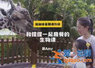 新加坡有什么好玩的，新加坡必游景點(diǎn)TOP10？