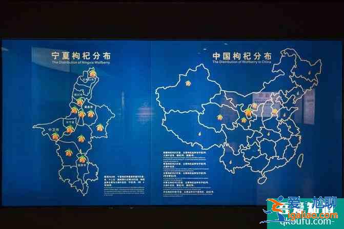 寧夏自駕游攻略及花費(fèi)介紹 這份6日游路線很經(jīng)典？