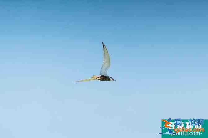 寧夏自駕游攻略及花費(fèi)介紹 這份6日游路線很經(jīng)典？