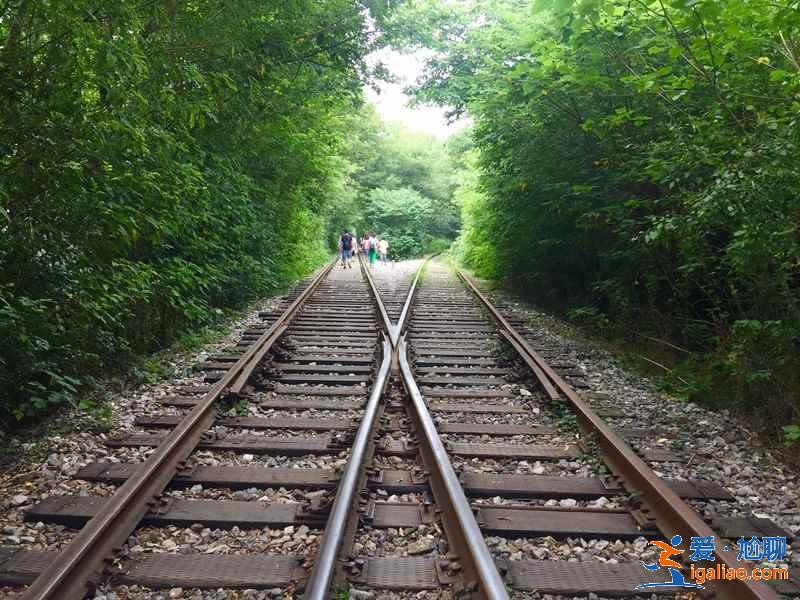 【南京愛(ài)情隧道】南京江寧愛(ài)情隧道怎么走，南京愛(ài)情隧道地址？