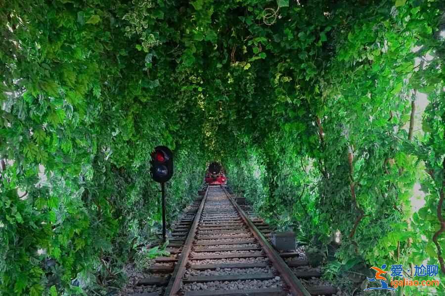 【南京愛(ài)情隧道】南京江寧愛(ài)情隧道怎么走，南京愛(ài)情隧道地址？