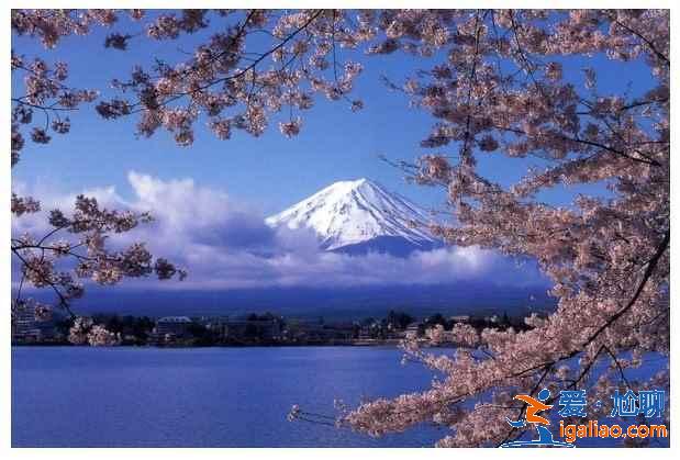 如何去富士山，東京到富士山要多久？