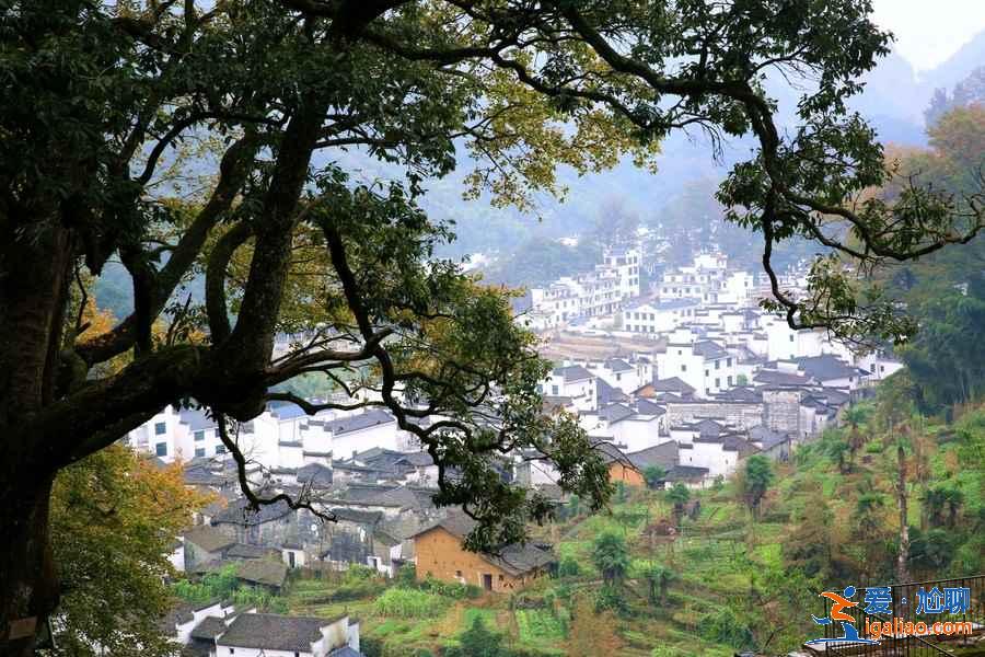杭州古村落推薦,杭州人少景美的古村,杭州哪個(gè)古村值得去? 杭州古村落推薦,杭州人少景美的古村,杭州哪個(gè)古村值得去?