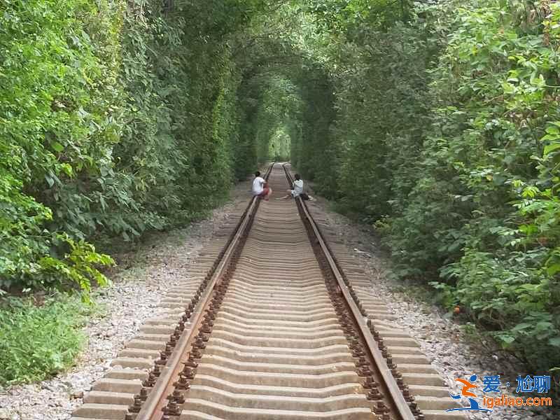 【南京愛(ài)情隧道】南京江寧愛(ài)情隧道怎么走，南京愛(ài)情隧道地址？