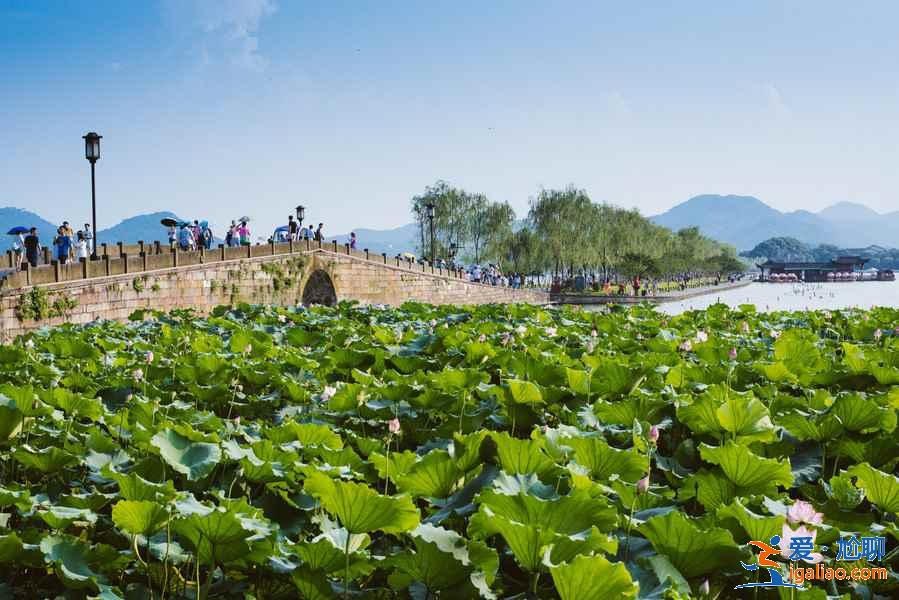 杭州景點(diǎn)排行,杭州旅游景點(diǎn)大全,杭州景點(diǎn)推薦? 杭州景點(diǎn)排行,杭州旅游景點(diǎn)大全,杭州景點(diǎn)推薦?