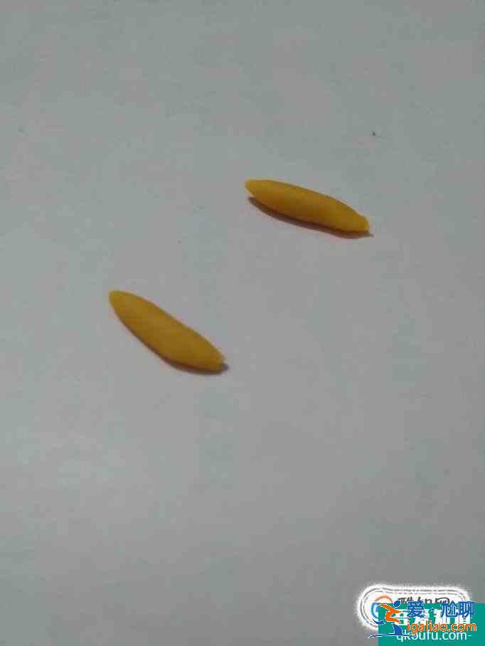 手工獎(jiǎng)杯制作方法？