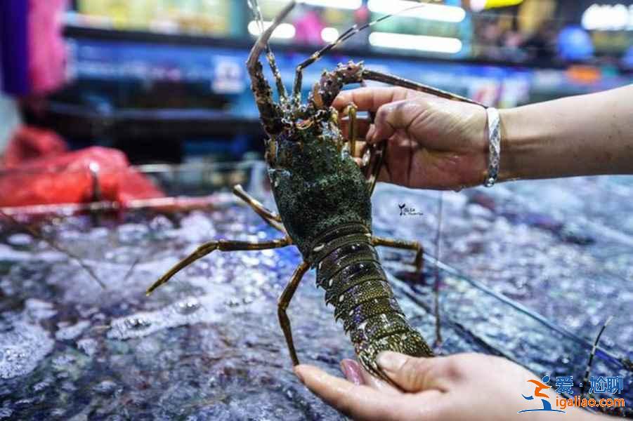 三亞吃海鮮如何防止被宰，三亞買海鮮技巧？