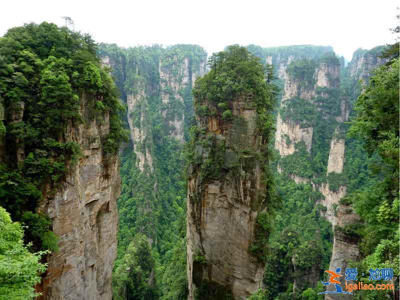 張家界必游景點(diǎn)有哪些？張家界必游景點(diǎn)TOP10？
