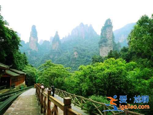 張家界必游景點(diǎn)有哪些？張家界必游景點(diǎn)TOP10？