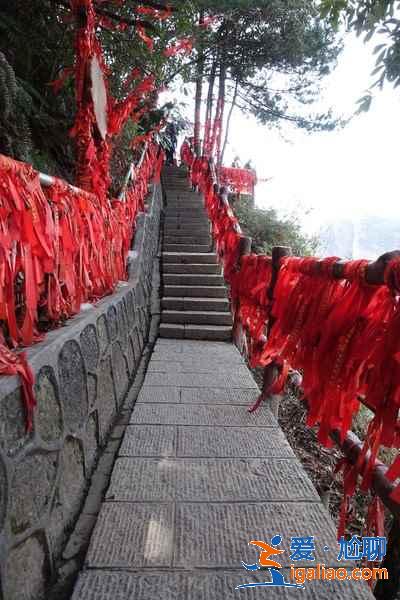張家界必游景點(diǎn)有哪些？張家界必游景點(diǎn)TOP10？